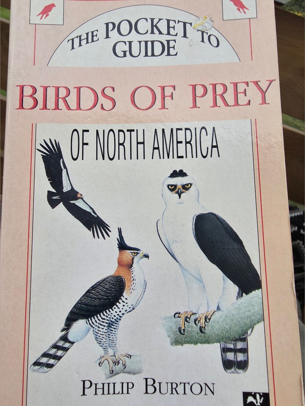 Compact reference book The Pocket Guide to Birds of Prey of North America